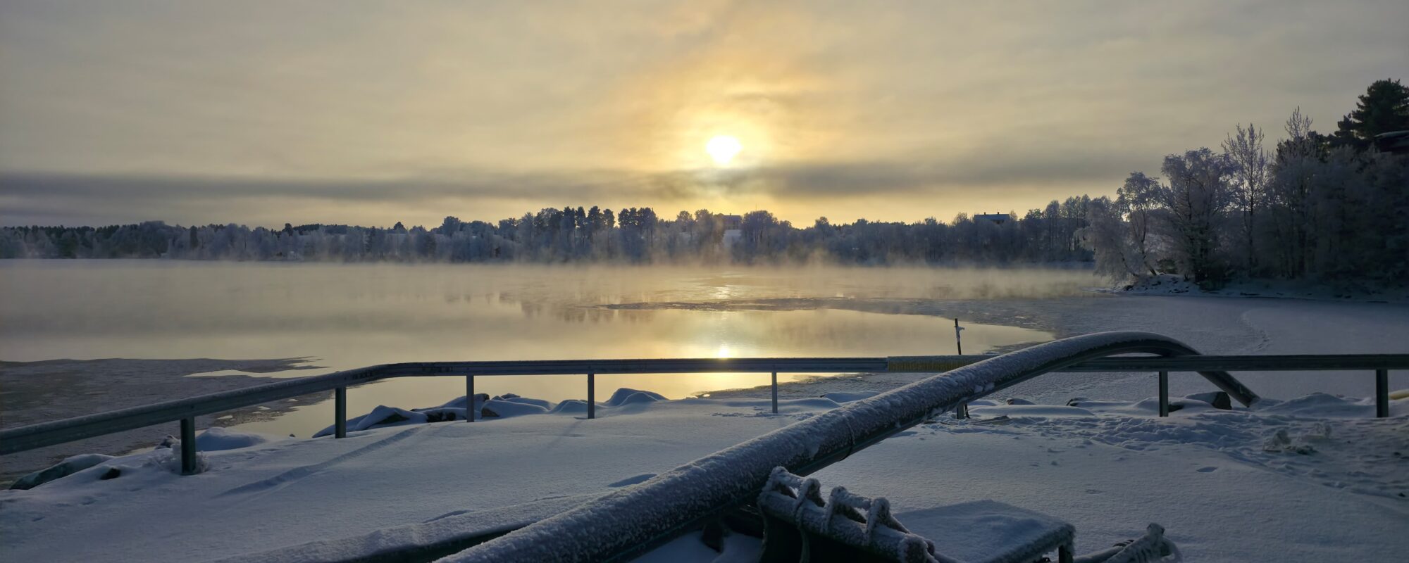 fcf29a00-cf80-47bb-b85e-7e3db60b7b93